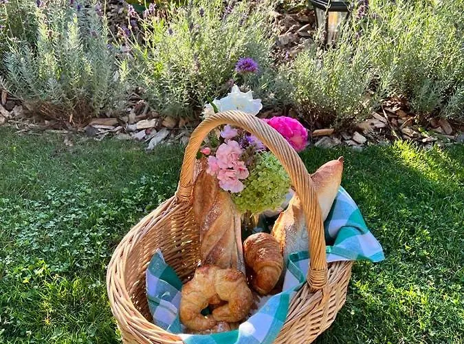 De La Sarre Kemp Abreschviller